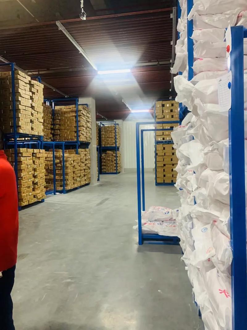 衡水高端冷链产业园 打造冻品交易与冷链物流新枢纽